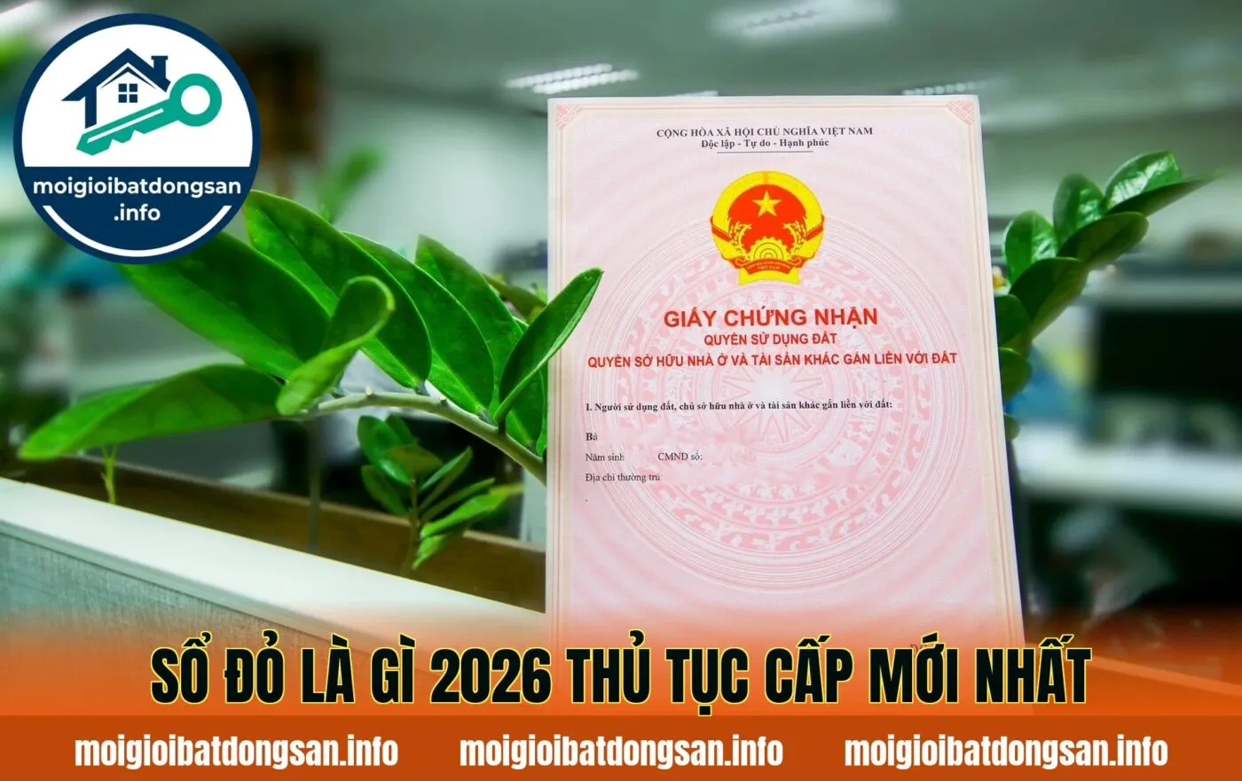SỔ ĐỎ LÀ GÌ 2026 THỦ TỤC CẤP MỚI NHẤT