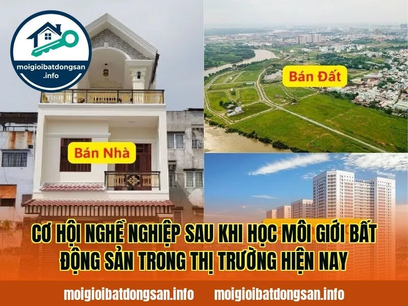 Cơ hội nghề nghiệp sau khi học môi giới bất động sản trong thị trường hiện nay